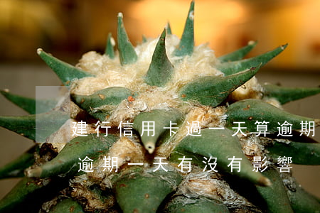 建行信用卡過一天算逾期么(建設銀行信用卡逾期一天有沒有影響?)