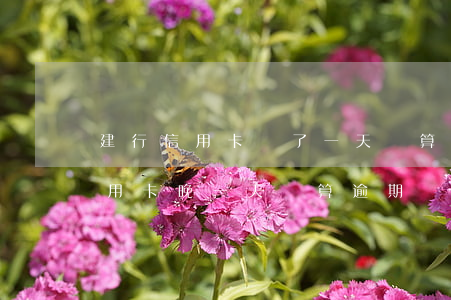 建行信用卡遲了一天還算逾期嗎(工商銀行信用卡晚一天還算逾期嗎)