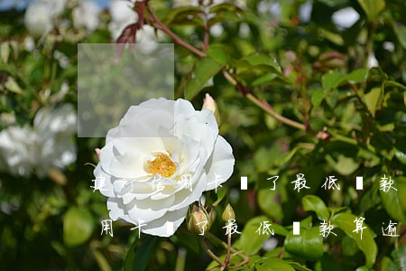 建行信用卡還了最低還款算逾期嗎-建行信用卡還了最低還款算逾期嗎怎么辦