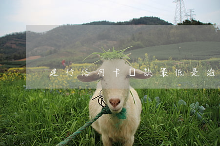 建行信用卡還款最低是逾期嗎