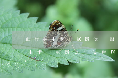 建行信用卡還款最低額度算逾期嗎-建行信用卡還款最低額度算逾期嗎怎么辦