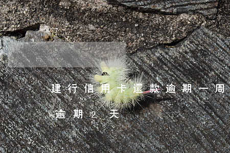建行信用卡還款逾期一周(建行信用卡不小心逾期2天)