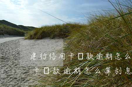 建行信用卡還款逾期怎么算利息-建行信用卡還款逾期怎么算利息的