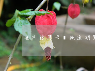 建行信用卡還款逾期怎么規(guī)定的