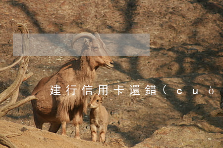 建行信用卡還錯(cuò)卡逾期