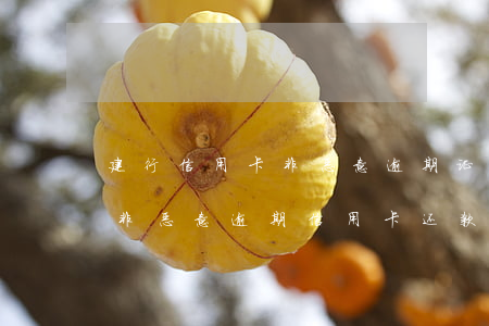 建行信用卡非恶意逾期证明好开吗(建设银行非恶意逾期信用卡还款证明范本)