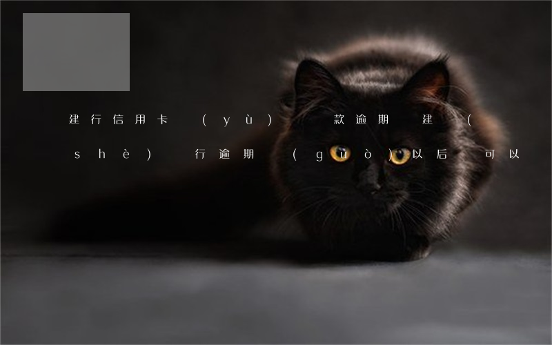 建行信用卡預(yù)約還款逾期嗎(建設(shè)銀行逾期過(guò),以后還可以辦理信用卡嗎)