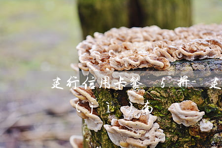 建行信用卡餐飲5折-建行信用卡餐飲5折 濟(jì)南
