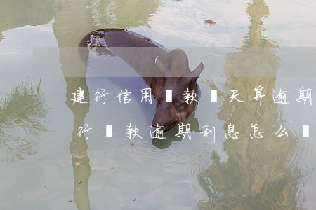 建行信用貸款幾天算逾期(建設(shè)銀行貸款逾期利息怎么計(jì)算)
