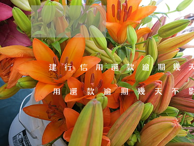 建行信用還款逾期幾天不影響信用-建行信用還款逾期幾天不影響信用額度