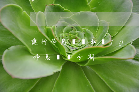 建行停息掛賬和個(gè)性化分期(什么是停息掛賬分期)