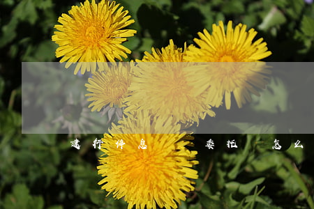建行停息掛賬委托書怎么寫
