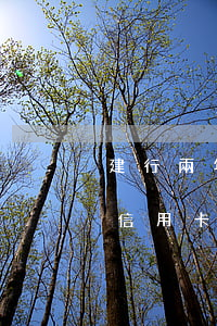 建行兩年前信用卡逾期(建設(shè)銀行信用卡逾期了快一年)