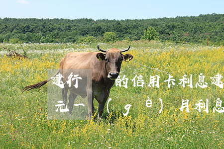 建行兩萬的信用卡利息(建行信用卡2000元一個(gè)月利息多少)