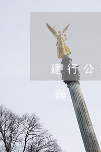 建行公司稅貸逾期起訴(建行貸款起訴了怎么辦)