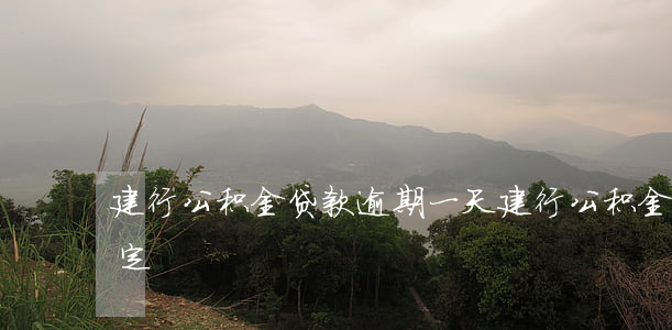 建行公积金贷款逾期一天(建行公积金逾期规定)