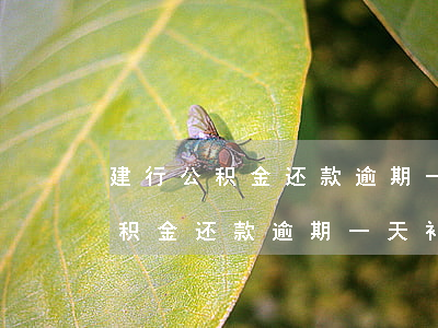 建行公积金还款逾期一天补救办法-建行公积金还款逾期一天补救办法规定