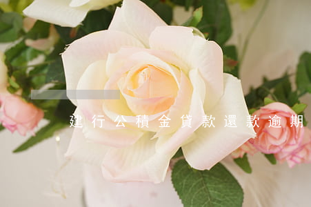 建行公積金貸款還款逾期(公積金房貸逾期)