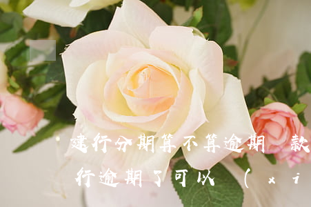 建行分期算不算逾期還款(建設(shè)銀行逾期了可以協(xié)商分期還款嗎)
