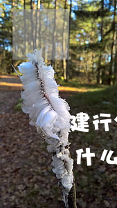 建行分期通大額耐用消費(fèi)品是指什么-建行分期通大額耐用消費(fèi)品都包括什么東西