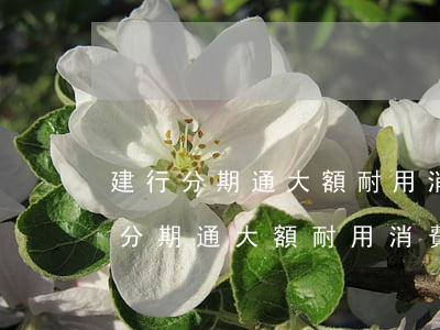 建行分期通大額耐用消費品是指什么-建行分期通大額耐用消費品都包括什么東西