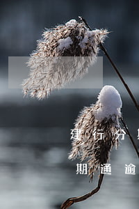 建行分期通逾期会有利息违约金吗-建行分期通逾期了要全额还款,利息怎么算