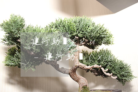 建行助學(xué)貸款如何消除逾期記錄-建行助學(xué)貸款如何消除逾期記錄申請(qǐng)