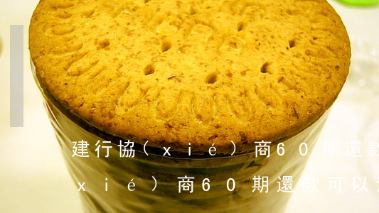 建行協(xié)商60期還款-建行協(xié)商60期還款可以減免手續(xù)費嗎