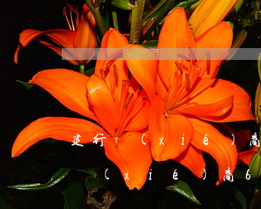 建行協(xié)商60期還款電話-建行協(xié)商60期還款電話號(hào)碼