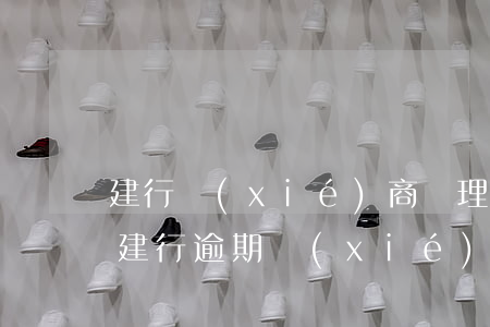 建行協(xié)商處理36期處理不了-建行逾期協(xié)商60期