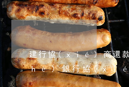 建行協(xié)商還款逾期利息(建設(shè)銀行協(xié)商還款成功案例)