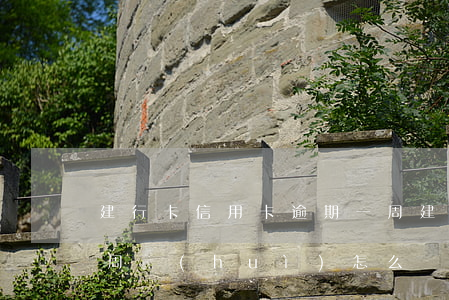 建行卡信用卡逾期一周(建行卡信用卡逾期一周會(huì)怎么樣)