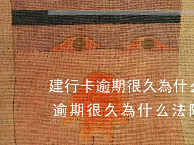 建行卡逾期很久為什么法院不起訴-建行卡逾期很久為什么法院不起訴呢