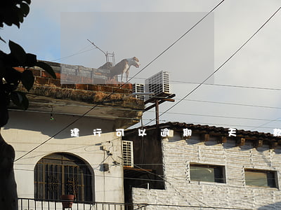 建行可以逾期幾天還款(建行幾天還款期限)