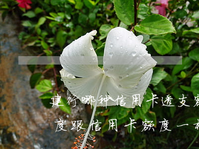 建行哪种信用卡透支额度大(建设银行贷吧额度跟信用卡额度一样嘛)