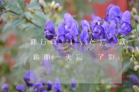 建行商業(yè)貸款幾天算逾期(建行貸款逾期一天忘記了,影響大嗎)