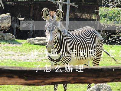 建行單位卡到期了怎么辦-建行單位卡到期了怎么辦理