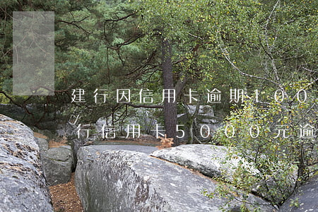 建行因信用卡逾期100(建設(shè)銀行信用卡5000元逾期多久會(huì)起訴)
