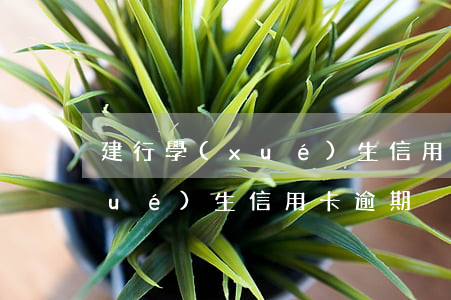 建行學(xué)生信用卡逾期 建行學(xué)生信用卡逾期