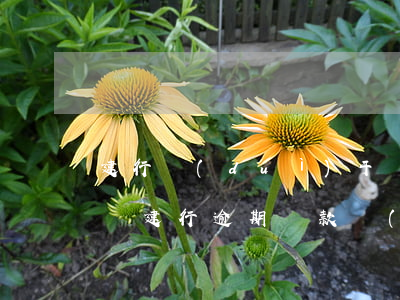建行對(duì)于還款逾期的細(xì)則(建行逾期還款時(shí)間)