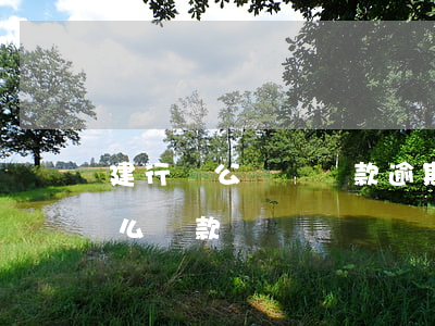 建行對公賬戶還款逾期(建行對公賬戶貸款怎么還款)