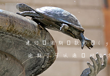建行對逾期貸款的規(guī)定(建行貸款逾期了可以通過什么方式補救?)