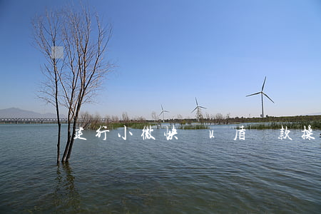 建行小微快貸u盾還款操作流程-