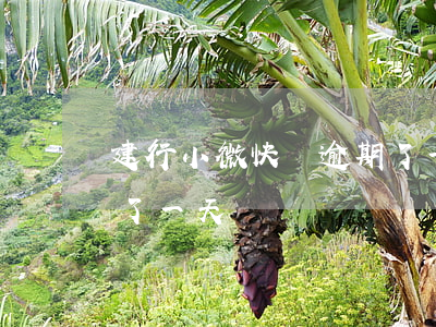 建行小微快貸逾期了一天(建行小微快貸逾期了一天)