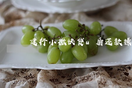 建行小微快贷u盾还款操作流程-