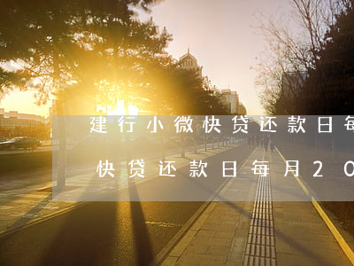 建行小微快贷还款日每月20号-建行小微快贷还款日每月20号还款