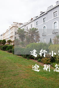建行小额贷款逾期怎么办(中国建设银行房贷逾期怎么处理)