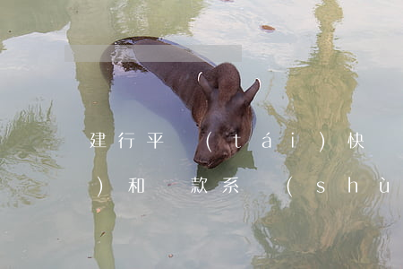 建行平臺(tái)快貸城市系數(shù)和還款系數(shù)-建行快貸支持城市