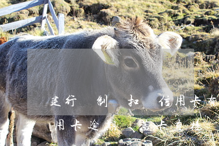 建行強制劃扣還信用卡有解決辦法嗎（建設信用卡逾期儲蓄卡直接劃扣）