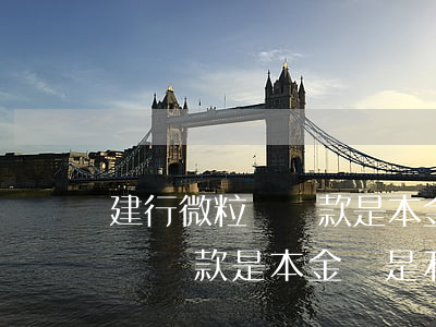 建行微粒貸還款是本金還是利息-建行微粒貸還款是本金還是利息啊